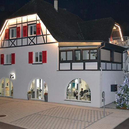 Gite Les Terrasses Du Mambourg A Kaysersberg-Vignoble Zewnętrze zdjęcie