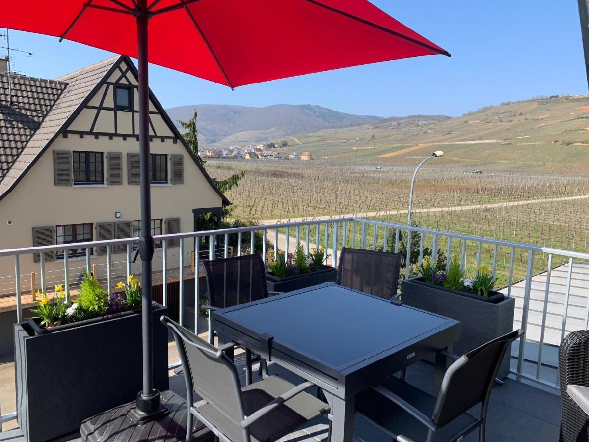 Gite Les Terrasses Du Mambourg A Kaysersberg-Vignoble Zewnętrze zdjęcie